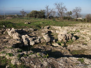 tapiccola-13-01-2013 09-19-40